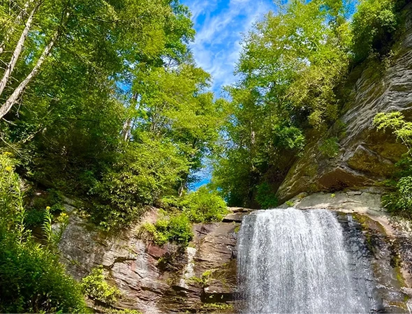 Multi-Stop Waterfall Tour Service in Asheville
