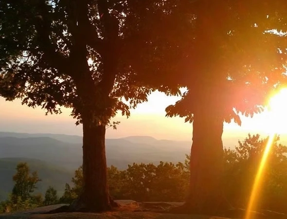 Guided Scenic Sightseeing Tours in Weaverville