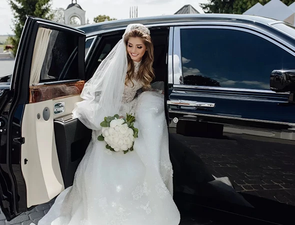 Wedding Party Transportation Service in Waynesville