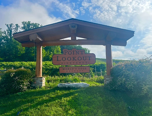 Group Winery Tour Transportation in Hendersonville
