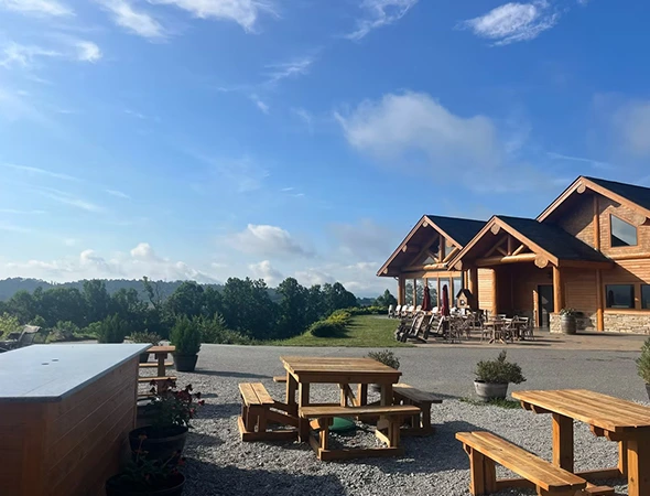 Winery Tour Transport Services in Highlands