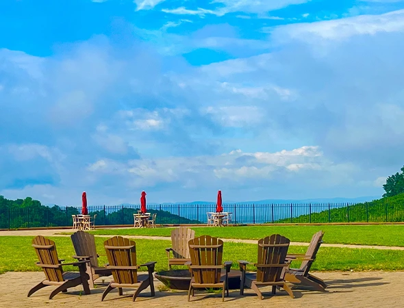 Custom Vineyard Tour Transportation in Hendersonville